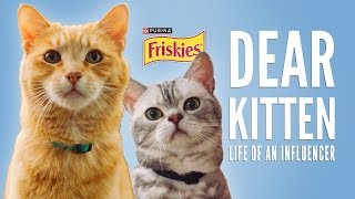 Dear Kitten: Day In The Life Of An Influencer // Presented By Friskies & BuzzFeed by BuzzFeedVideo 49,204 views 8 months ago 2 minutes, 59 seconds