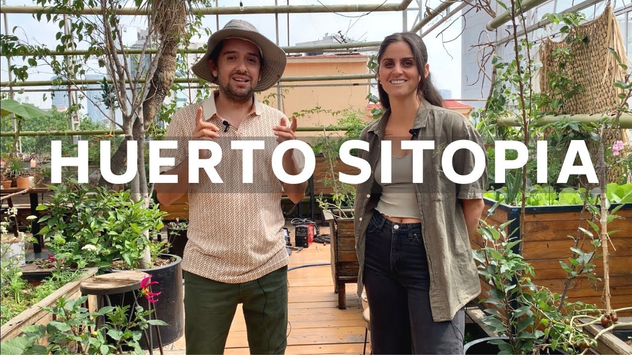 Hermoso Huerto En El Techo De Un Edificio De 5 Pisos 🪴🍊🥬🍅 /Agricultura Urbana/ huerto en casa