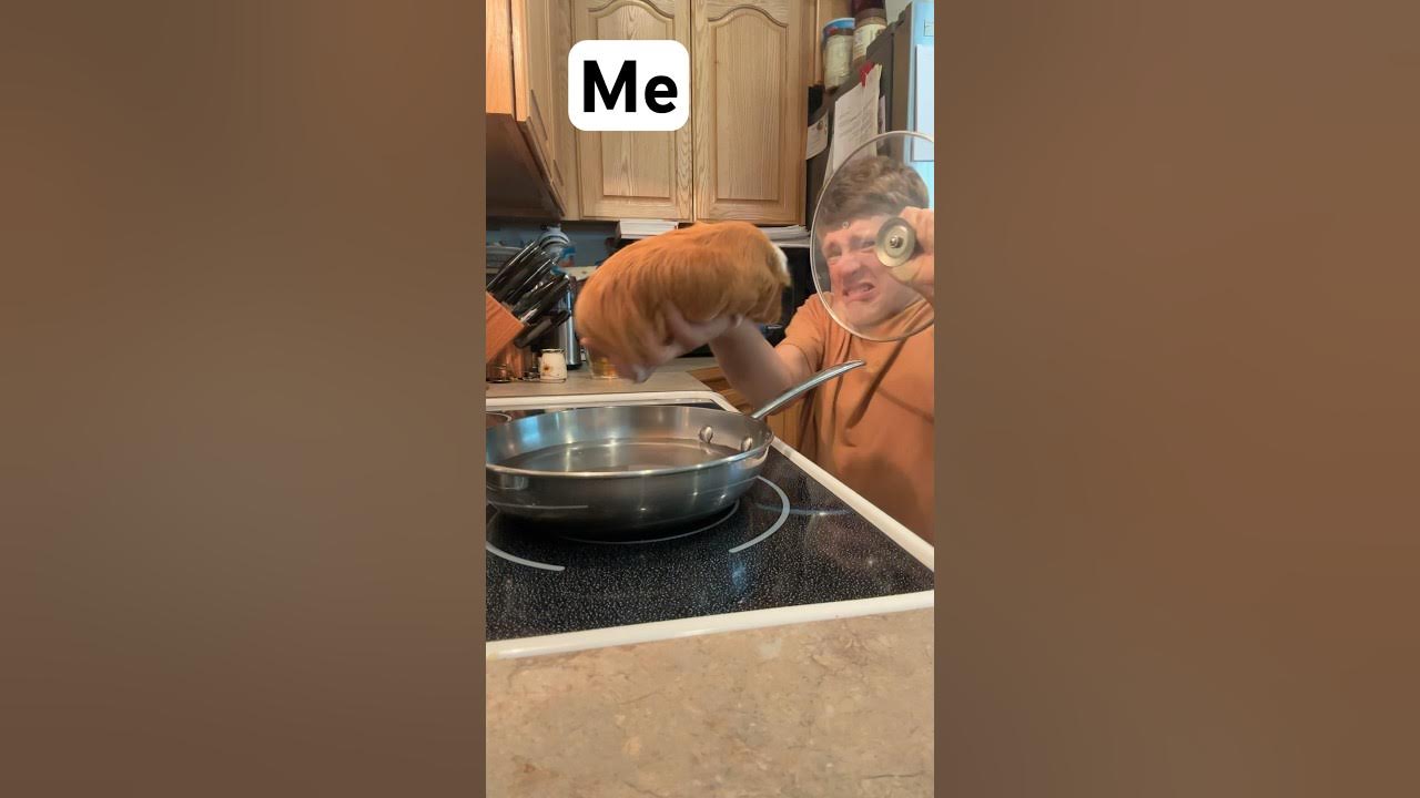 Cooking! ME vs MOM π₯πΉ #guineapig #funny #relatable #cooking #shorts #shortvideo Cooking! ME vs MOM π₯πΉ #guineapig #funny #relatable #cooking #shorts #shortvideo