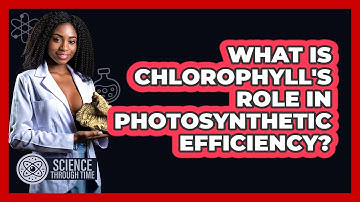 What Is Chlorophyll