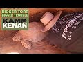 The Truth About Sulcata Tortoises