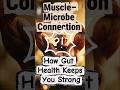 82 The Muscle–Microbe Connection 💪🦠 How Gut Health Keeps You Strong