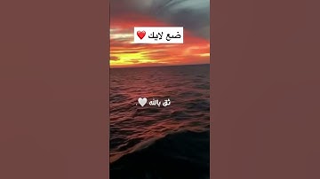 #تلاوة #تلاوة #قرآن #قران_كريم #تلاوات_خاشعة #اسلام_صبحي