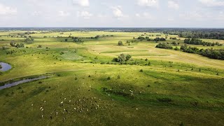 Гадяч, Псел. Безумные краски природы.