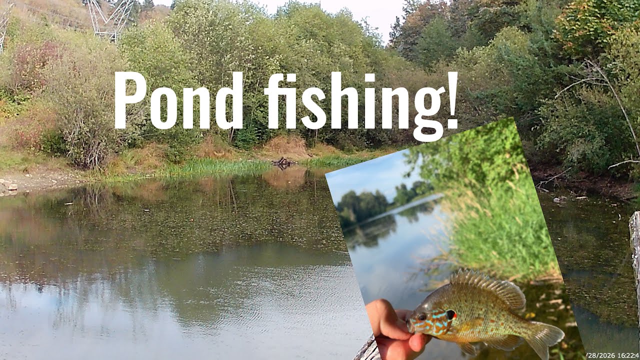 First long form vid! #fishing #fyp #bassfishing #fish
