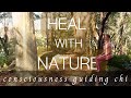 Nature can Completely Heal You! RELEASE to EARTH, RECEIVE from SKY, TRANSFORM! Guided Qigong Zhineng