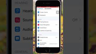 Activate LED Flash For Alerts‼️⚡️💫🤞🏻in All IOS Devices ✅ #shorts