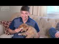 How to Stop Puppy Biting and Don’t Do These 5 Things When Training Your Puppy