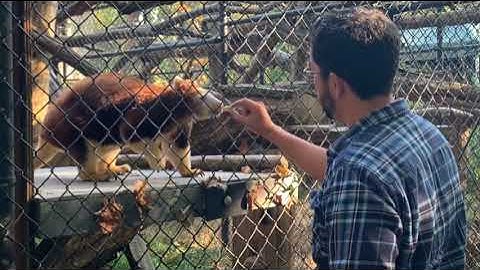 J Pepe Gonzalez Final Project Dragonfly Capstone 2023