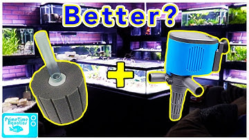 Should You Add a Powerhead to a Sponge Filter? Pros and Cons