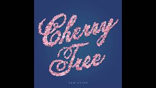 Sam Evian - Cherry Tree chords