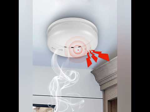 صوت إنذار الحريق Shorts Funny
