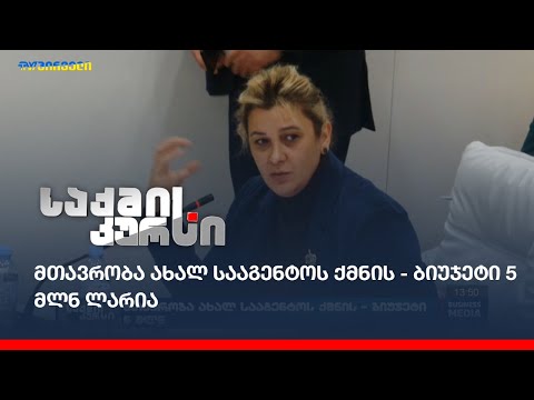 მთავრობა ახალ სააგენტოს ქმნის - ბიუჯეტი 5 მლნ ლარია