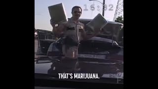 Cop accidentally found marijuana on the car he accidentally hit