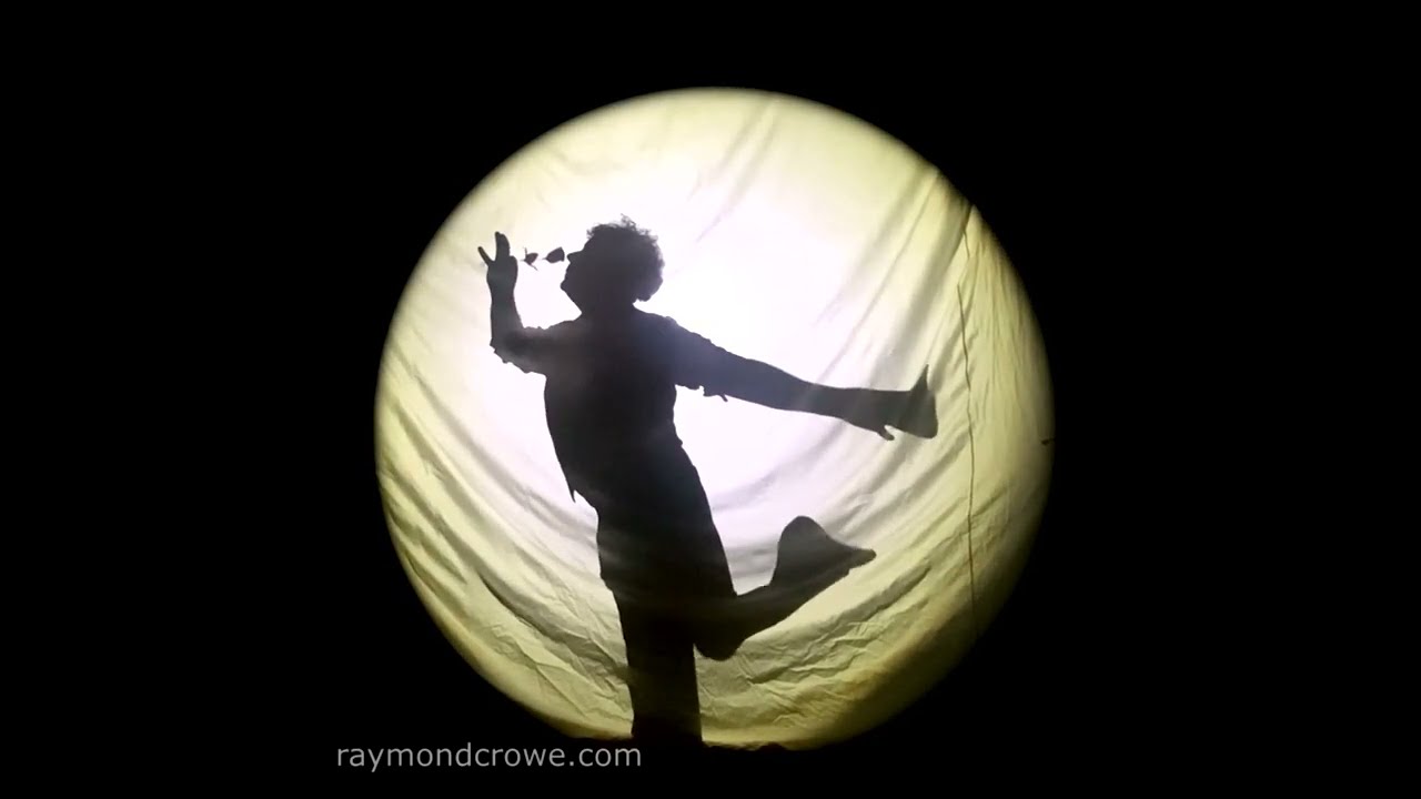 Raymond Crowe with Mic Conway - Blossoms Wrinkles 2023 Shadow Play