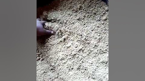 Catfish feed formulation maximize your profit to about 200%