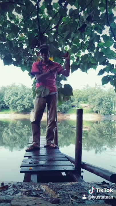 Tik Tok keren NYANYI sejengkal tanah