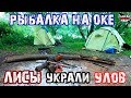 РЫБАЛКА с НОЧЕВКОЙ НА ОКЕ ОТДЫХ С ПАЛАТКОЙ! ЛИСЫ! Рыбалка на фидер. Ловля леща