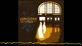 Orhan Osman & Erol Parlak - Coşar (Homegrown Istanbul, Vol.2 - 2008) Resimi