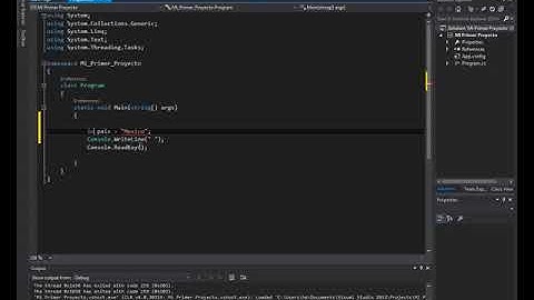 6) Variable tipo String en C#