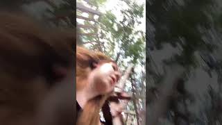 IMG 5728