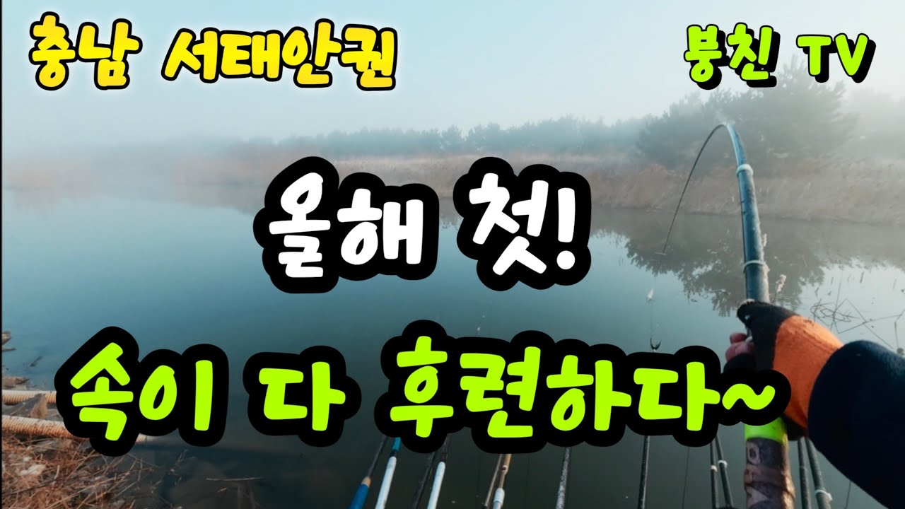 2602 요즘은 대호보다 여기가 더 잘나와요  #붕어 #붕어낚시 #월척 #봄붕어  #태안 #태안 #이원수로 #원북 #캠핑 #충남 #오토캠핑 #생활꿀팁 #대호 