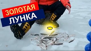 Ловля подлещика зимой, поиск места, снасти, оснастка