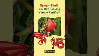 Dragon Fruit: The Odd Looking Vibrant Red Fruit viralshorts viral foods foodstyling dragonfruit