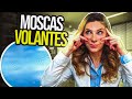 Como fazer moscas volantes desaparecer