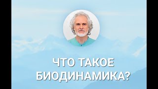 Что такое биодинамика?