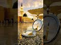 islamic video#love#shortvideo#viralvideo#motivation#quotes#best#bestquotes#quotes#