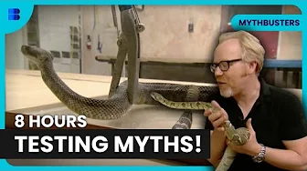 Can You Dodge A Bullet? & More Myths | MythBusters | Science Documentary