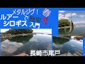 ルアーでシロギス！お手軽フィッシング！ エギングが釣れない時はエギをルアーに変えてお土産を確保！小さなメタルジグで色々釣れます！長崎市琴海 尾戸 小口