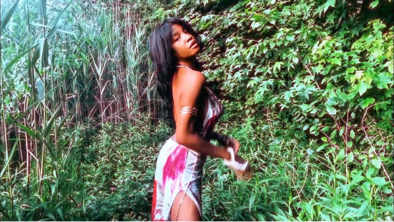 Davie-ann Hill - Signed Sealed Delivered {Official Music Video } I'm Yours