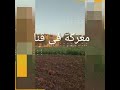 شاهد معركة قنا بين عائلتين تسفر عن عددا من الاصابات قنا عائلات معركة