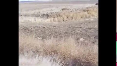 Controlling Gophers on Your Farm with The Verminator Burrow Builder