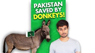 Why Pakistan Sells Donkeys To China?