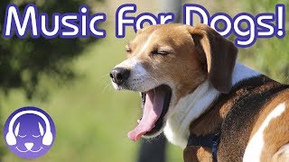 Music Therapy for Dogs: The BEST Music to Chill Your Dog this Halloween!