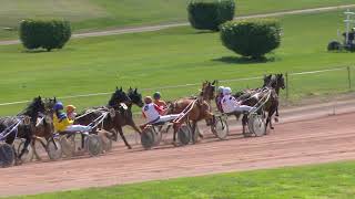 Vidéo de la course PMU PRIX DES CIGOGNES (GR B)