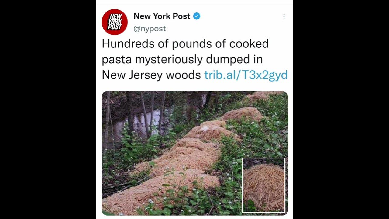 hundreds-of-pounds-of-cooked-pasta-mysteriously-dumped-in-new-jersey