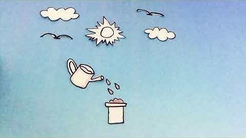 Tugas Teknik Animasi - Stop Motion Pertumbuhan Bunga