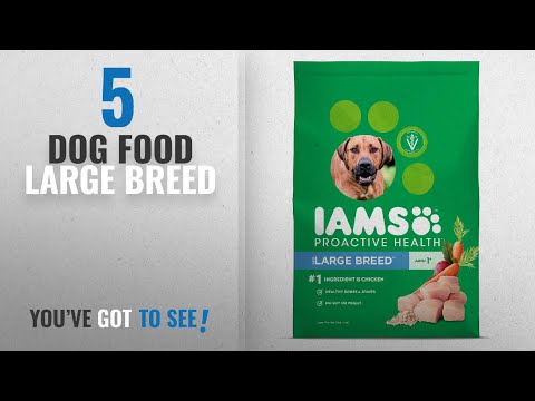 top-5-dog-food-large-breed-[2018-best-sellers]:-iams-proactive-health-adult-dog-food-for-large-dogs