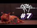 Прохождение Stray #7 - ЛУЧШИЙ ДРУГ