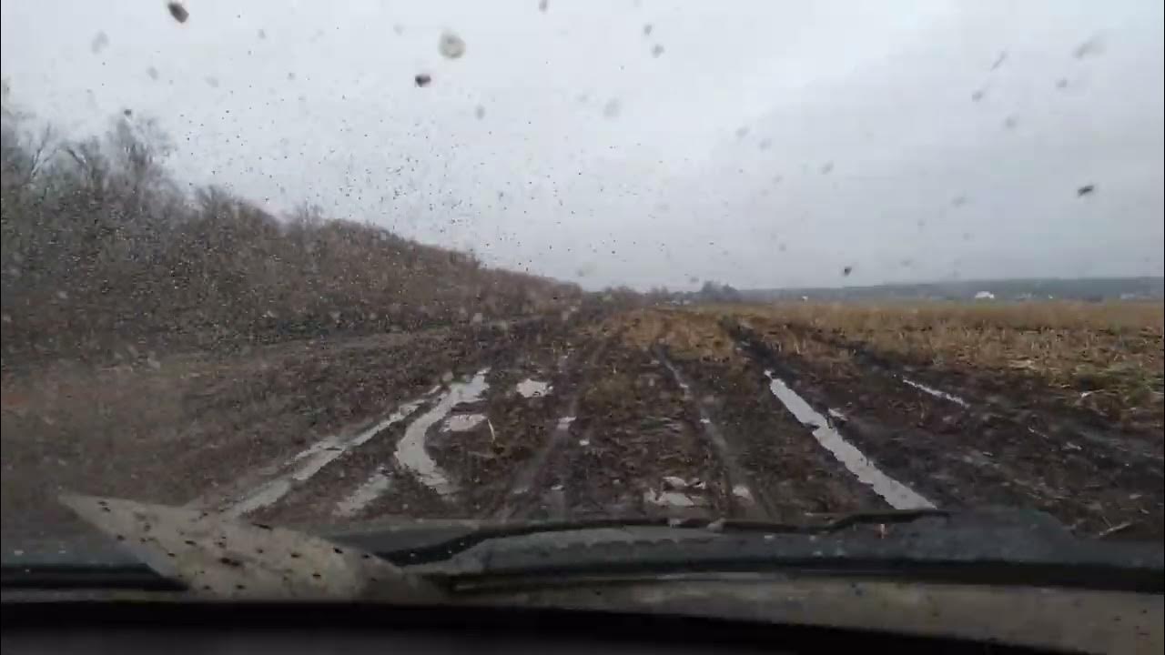 Там где волки ср@ть боятся..... - YouTube