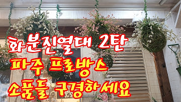 화분진열대 2탄 파주프로방스 소품들구경하세요.베란다정원 야생화키우기.야생화짱~^^087