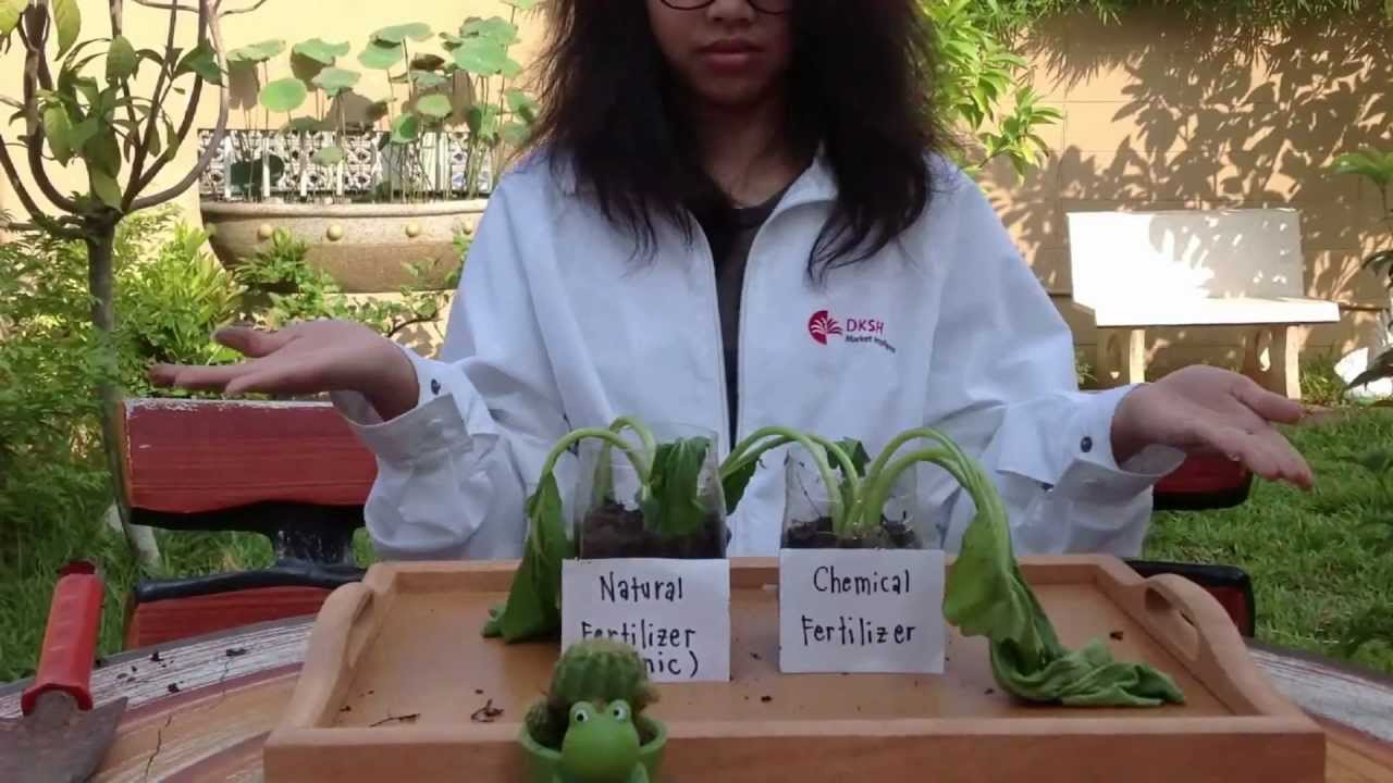 Experiment Comparing Fertilizers YouTube