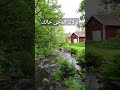 أنت خالق الأكوان #shorts #anachid #madih #امداح_نبوية #shortvideo #short #أناشيد_دينية