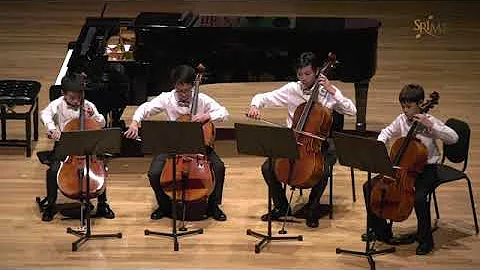 2019 : SRIMF Gala Concert @ SOTA Concert Hall on 1/2 - 3/4 sized cello