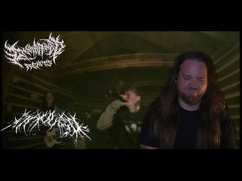 Home State Deathcore || Mauled- Drop Dead Gorgeous Ft Surfaced (Reaction) #361