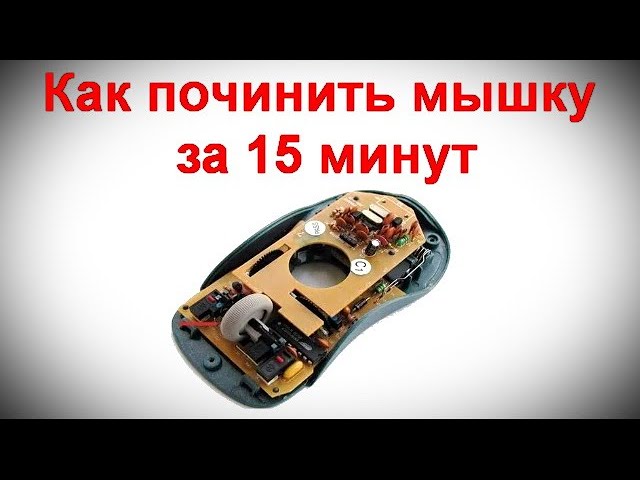 Как починить мышку, если не работает колесико - ремонт за 2 минуты. Как отремонт